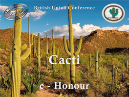 British Union Conference Cacti E