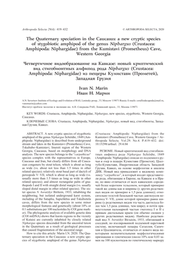 A New Cryptic Species of Stygobiotic Amphipod of the Genus Niphargus (Crustacea: Amphipoda: Niphargidae) from the Kumistavi (Prometheus) Cave, Western Georgia