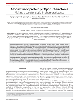 Global Tumor Protein P53/P63 Interactome Making a Case for Cisplatin Chemoresistance