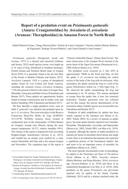 Report of a Predation Event on Pristimantis Gutturalis (Anura: Craugastoridae) by Avicularia Cf