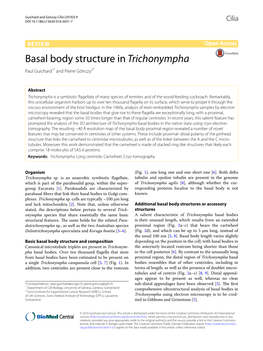 Basal Body Structure in Trichonympha Paul Guichard1* and Pierre Gönczy2*