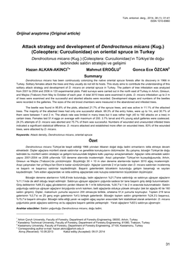 Attack Strategy and Development of Dendroctonus Micans (Kug.)