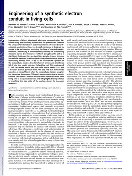 Engineering of a Synthetic Electron Conduit in Living Cells