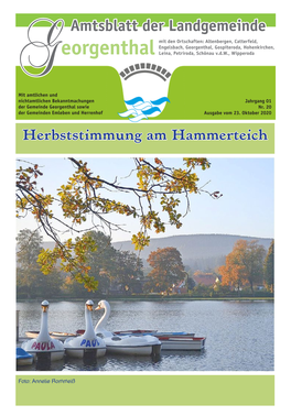 Amtsblatt Nr. 20 / 2020