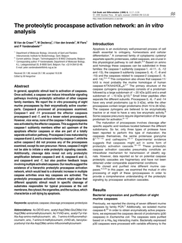 The Proteolytic Procaspase Activation Network: an in Vitro Analysis