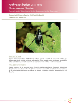 Anthypna Iberica Drioli, 1980 Nombre Común: No Existe Tipo: Arthropoda / Clase: Insecta / Orden: Coleoptera / Familia: Glaphyridae