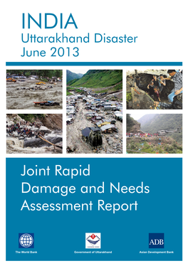 Joint Rapid Damage and Needs Assessment Report