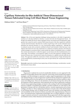 Capillary Networks for Bio-Artificial Three-Dimensional Tissues