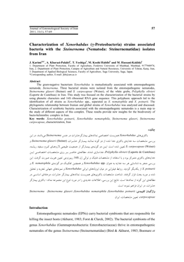 Characterization of Xenorhabdus (Γ-Proteobacteria) Strains Associated