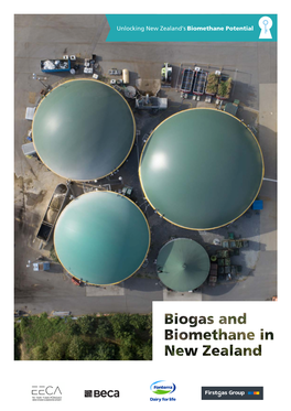 Biogas and Biomethane in NZ - Unlocking New Zealand's Renewable Natural Gas Potential | 2939894-1559009345-106 | 1/07/2021 | Viii