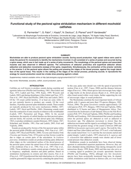 Functional Study of the Pectoral Spine Stridulation Mechanism in Different Mochokid Catfishes