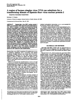 A Region of Herpes Simplex Virus VP16 Can Substitute for a Transforming Domain of Epstein-Barr Virus Nuclear Protein 2 (Herpsvis/Trnrpton/Raacvaflon) JEFFREY I