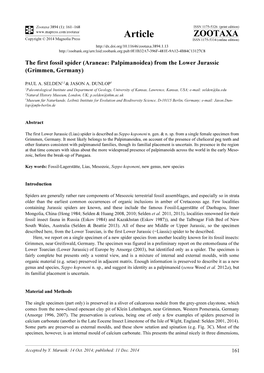 Araneae: Palpimanoidea) from the Lower Jurassic (Grimmen, Germany