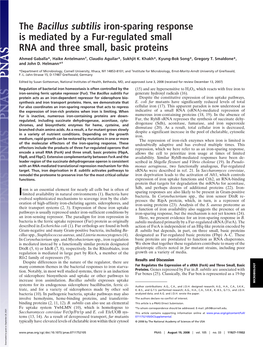 The Bacillus Subtilis Iron-Sparing Response Is Mediated by a Fur-Regulated Small RNA and Three Small, Basic Proteins