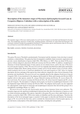 Zootaxa, Description of the Immature Stages of Wyeomyia (Spilonympha