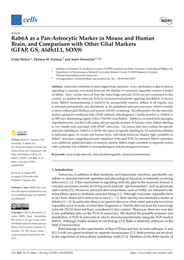 Rab6a As a Pan-Astrocytic Marker in Mouse and Humanbrain, And