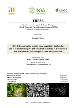 Effet De L'organisation Spatiale Intra-Parcellaire Des Habitats Sur Le Contrôle Biologique Par Conservation