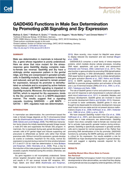 GADD45G Functions in Male Sex Determination by Promoting P38 Signaling and Sry Expression