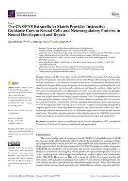 The CNS/PNS Extracellular Matrix Provides Instructive Guidance Cues to Neural Cells and Neuroregulatory Proteins in Neural Development and Repair