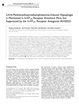 3,4-N-Methlenedioxymethamphetamine-Induced Hypophagia Is Maintained in 5-HT1B Receptor Knockout Mice, but Suppressed by the 5-HT2C Receptor Antagonist RS102221