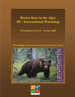 Brown Bear in the Alps