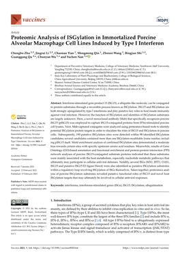 Proteomic Analysis of Isgylation in Immortalized Porcine Alveolar Macrophage Cell Lines Induced by Type I Interferon