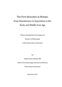 The First Brooches in Britain: from Manufacture to Deposition in the Early and Middle Iron Age