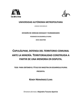 Capulálpam, Defensa Del Territorio Comunal Ante La Minería