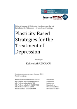 Plasticity Based Strategies for the Treatment of Depression