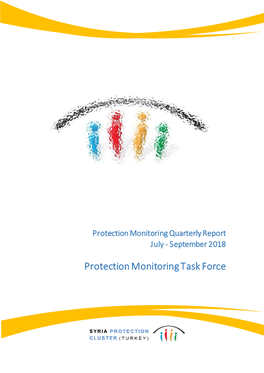 Protection Monitoring Task Force