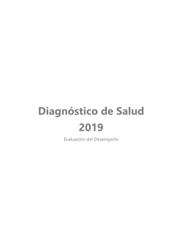 Diagnóstico De Salud 2019 Evaluación Del Desempeño
