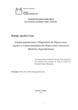 Rodrigo Costa Ioc Dout 2012.Pdf