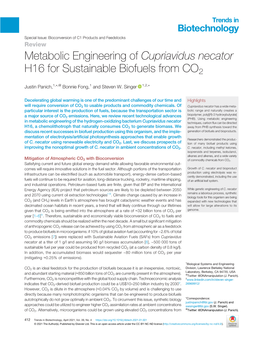 Cupriavidus Necator H16 for Sustainable Biofuels from CO2