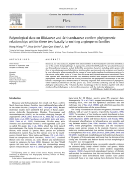 Palynological Data on Illiciaceae and Schisandraceae Confirm