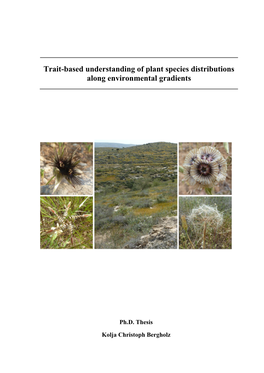 Trait-Based Understanding of Plant Species Distributions Along Environmental Gradients