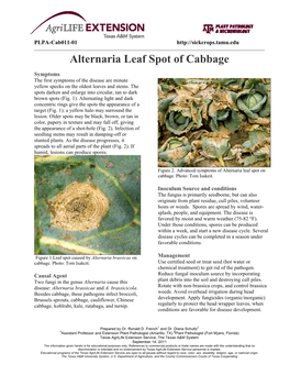 Alternaria Leaf Spot of Cabbage