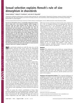 Sexual Selection Explains Rensch's Rule of Size Dimorphism in Shorebirds