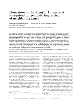 Elongation of the Kcnq1ot1 Transcript Is Required for Genomic Imprinting of Neighboring Genes