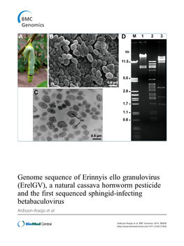 Genome Sequence of Erinnyis Ello