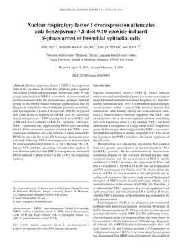 Nuclear Respiratory Factor 1 Overexpression Attenuates Anti‑Benzopyrene‑7,8‑Diol‑9,10‑Epoxide‑Induced S‑Phase Arrest of Bronchial Epithelial Cells