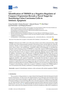 Identification of TRIM25 As a Negative Regulator of Caspase-2 Expression