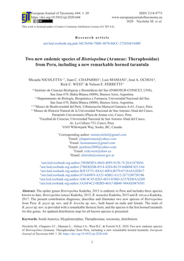 Two New Endemic Species of Bistriopelma (Araneae: Theraphosidae) from Peru, Including a New Remarkable Horned Tarantula