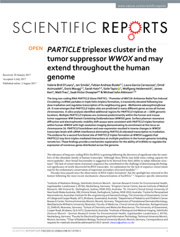 PARTICLE Triplexes Cluster in the Tumor Suppressor WWOX and May Extend Throughout the Human Genome