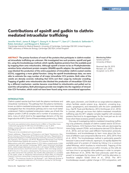 Contributions of Epsinr and Gadkin to Clathrin- Mediated Intracellular Trafficking