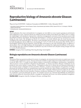 Reproductive Biology of Amasonia Obovatagleason