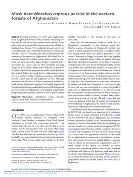 Musk Deer Moschus Cupreus Persist in the Eastern Forests of Afghanistan