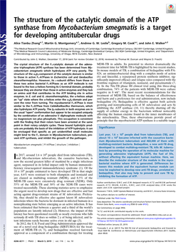 The Structure of the Catalytic Domain of the ATP Synthase from Mycobacterium Smegmatis Is a Target for Developing Antitubercular Drugs