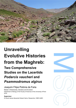 Unravelling Evolutive Histories from the Maghreb: Two Comprehensive Studies on the Lacertids Podarcis Vaucheri And