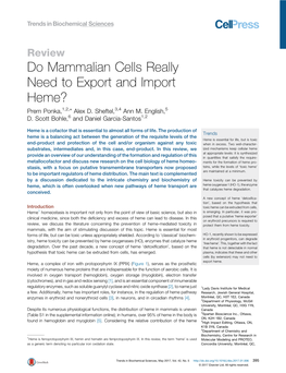 Do Mammalian Cells Really Need to Export and Import Heme?