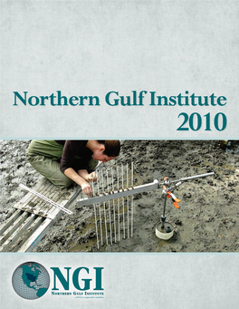 NGI Annual Report 2010
